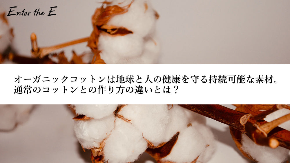 オーガニックコットンは地球と人の健康を守る持続可能な素材。通常のコットンとの作り方の違いとは?
