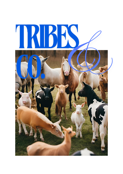 【サンプルセール】オーガニックコットン HAPPY VEGANシリーズ TRIBES&CO Tシャツ ブルー